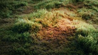 Blender Tutorial How to make a grass field [upl. by Oigroig33]