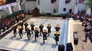 Jalisco  Ballet Folklórico de la Universidad Veracruzana [upl. by Desdee]