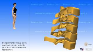 La colonne cervicale [upl. by Negrom]