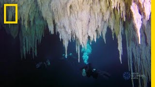 Explore the Worlds Largest Underwater Cave  National Geographic [upl. by Greeson]