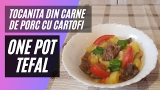 Tocanita de cartofi cu carne de porc la One Pot Tefal [upl. by Dillie]