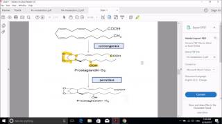 Eicosanoids [upl. by Erastus]