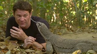 Monitor Lizard LICKS Steves Eye  Deadly 60  BBC Earth [upl. by Neff]