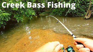 Bass Fishing in SMALL Creeks How to and My Helpful Tips [upl. by Irama806]