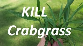 THE CRABGRASS CONTROL VIDEO  Pre and Post Emergent [upl. by Hackney]