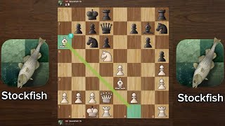 Stockfish vs Stockfish  Stockfish Wins  Perfect Chess [upl. by Stilu]