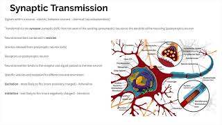 Biopsychology  Revision [upl. by Enoek]