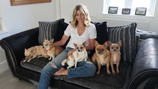 Vlog 6  Life with 5 Chihuahuas  A Doggy Diary Part 1 [upl. by Blondy]