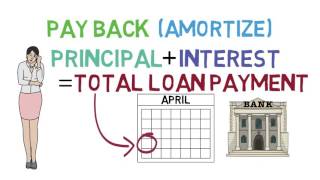 Loans 101 Loan Basics 13 [upl. by Terry]