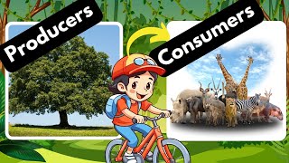 Producers and Consumers Herbivores Carnivores and Omnivores [upl. by Yatnoed]