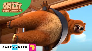 Grizzy and the Lemmings  Target Bear  Cartoonito Africa [upl. by Nehepts]