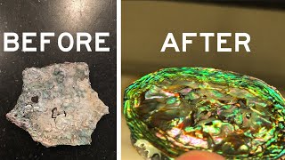 How to Polish a Shell  Abalone Shell Polishing [upl. by Edveh]