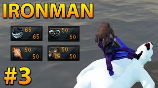 These levels unlock something huge  RS3 Ironman Progress 3  dooble [upl. by Olegnaid]