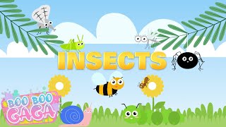 Insect Song  Bugs Song  Insects for Kids by Boo Boo Gaga booboogaga [upl. by Love]