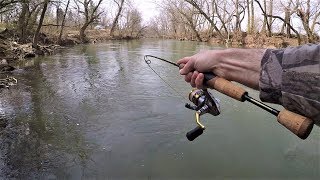 CREEK Fishing for Rainbow amp Brook TROUT with Spinners [upl. by Yenrab]