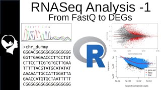 RNASeq Analysis  Differential Expressed Genes DEGs from FastQ [upl. by Donelu]