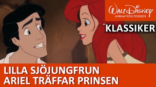 Lilla Sjöjungfrun Ariel möter prins Eric  Disneyklassiker Sverige [upl. by Aiderfla]