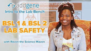 BSL 1 amp BSL 2 Safety  Intro to the Lab Bench [upl. by Immaj]