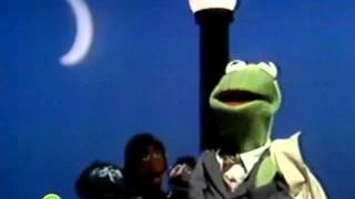 Classic Sesame Street  Kermit Sings quotThis Frogquot [upl. by Raina]