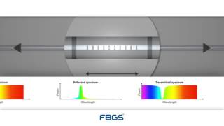 FBG Sensor Principle [upl. by Sale357]