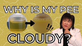 Why Is My Urine Cloudy [upl. by Eiuqnom]