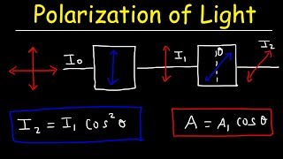 Polarization of light Problems Malus Law  Intensity amp Amplitude  Physics [upl. by Eilahs28]