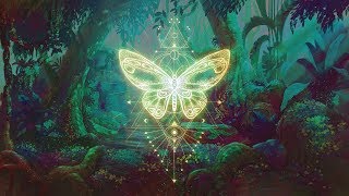 🦋THE BUTTERFLY EFFECT ⁂ Elevate your Vibration ⁂ Positive Aura Cleanse ⁂ 432Hz Music [upl. by Imef]