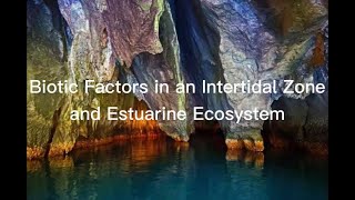 Biotic Factors in an Intertidal Zone and Estuarine Ecosystem [upl. by Derk]