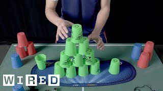 This is FAST Cup Stacking  WIRED [upl. by Anes]