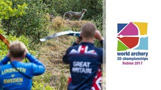 Full session Finals  Robion 2017 World Archery 3D Championships [upl. by Jecho616]