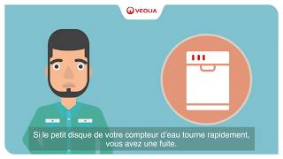 Veolia  comment détecter facilement une fuite deau [upl. by Archaimbaud]