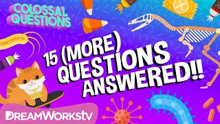 15 More Quick Questions Answered  COLOSSAL QUESTIONS [upl. by Aihsilef]