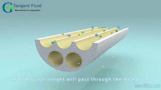 Crossflow Filtration of Ceramic Membrane [upl. by Bruning]