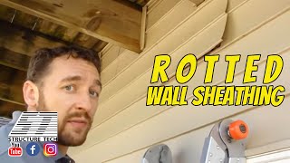 Rotted Wall Sheathing [upl. by Andris]