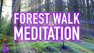 Guided Forest Walk Meditation  Calming and Relaxing Mindfulness Activity [upl. by Tonl]