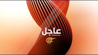 ALMAYADEEN TV  News Package 2012 [upl. by Saffren]