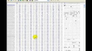 Reverse Engineering 101  Using A Hex Editor To Find Passwords [upl. by Prosper]