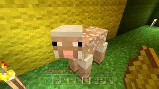 Minecraft Xbox  The Hungry Sheep 90 [upl. by Olonam]