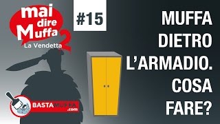 Muffa dietro larmadio Cosa fare [upl. by Navis]