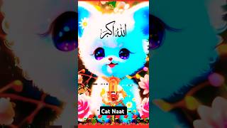 Cat Naat 😻 Nur Wala Aaya Hai I Cute Cats Naat Sharif Noor Leke Aya Hai cat naat ytshorts [upl. by Atiuqihs]