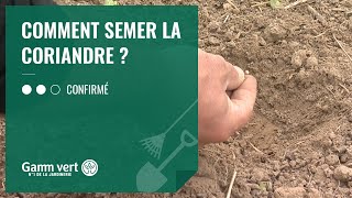 TUTO Comment semer la coriandre   Jardinerie Gamm vert [upl. by Lienahs279]