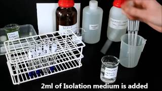 Photosynthesis in chloroplasts Hill Reaction [upl. by Kristian]