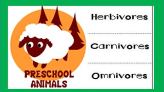 Herbivore Carnivore Omnivore Animals [upl. by Bringhurst]