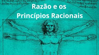 A Razão e os Princípios Racionais [upl. by Ardnaeel]