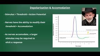 Introduction to Electrical Stimulation [upl. by Frulla]