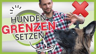 So versteht dein Hund dich wirklich Hunden GRENZEN setzen [upl. by Lekcim]