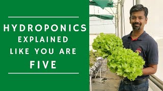 Basic Hydroponics Explained for Beginners [upl. by Nannette191]