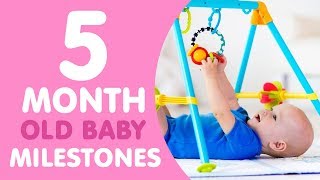 5 Month Old Baby Milestones [upl. by Nylecaj447]