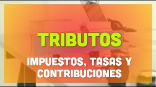 Tributos  Impuestos Tasas y Contribuciones [upl. by Mosora]