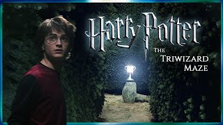 The Third Task Part 2  Harry Potter and the Goblet of Fire [upl. by Libnah]